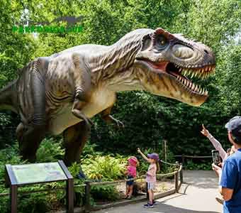 Múnla dineasáir ollmhór réalaíoch T-Rex